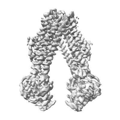 EMDR Atlas