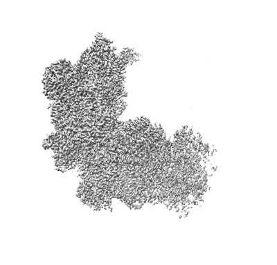 EMDR : EMD-36094