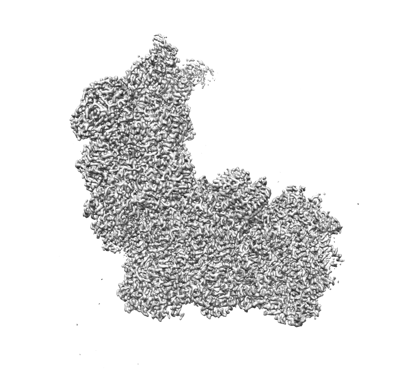 EMDR : EMD-36107
