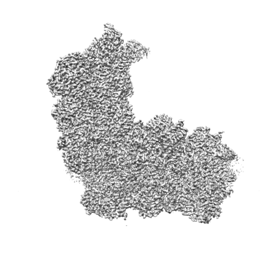 【 sige  】 Inventory Unit Detail Adams Motorsports Montgomery, AL (866