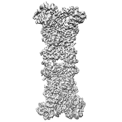 EMDR : EMD-38902