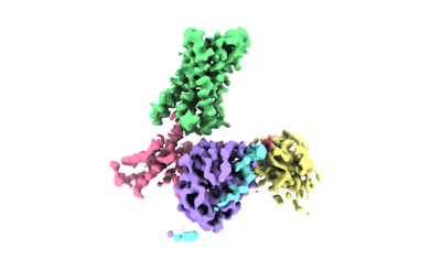 サンプル EMDB List: EMDataResource