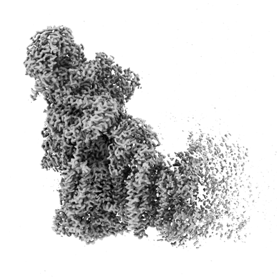 EMDR : EMD-60341